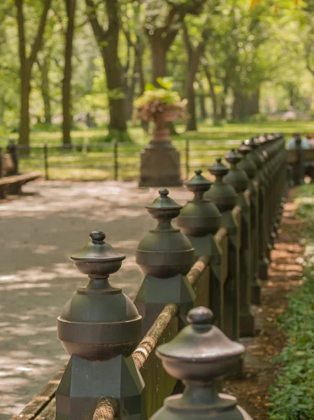 Green Posts Central Park — Stok Foto