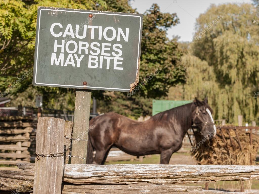 warning horses may bite large rigid sign 