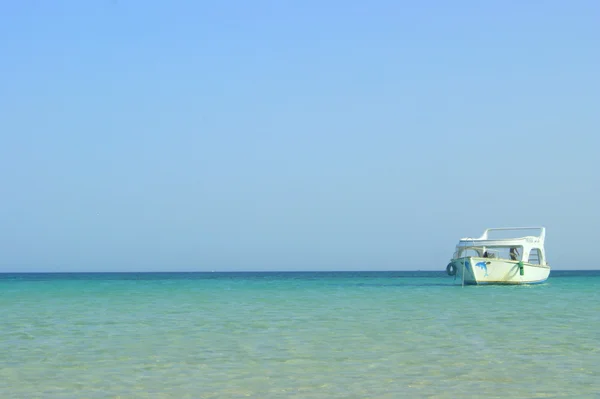 Red sea, Mısır, sakin ol ve rahatla