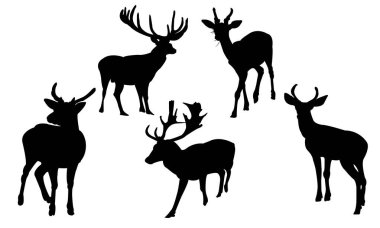 Çeşitli geyik siluetleri koleksiyonu çeşitli pozlarda hareket ve zarafet yakalar.