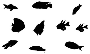 Farklı balık türlerinin siyah siluetleri. İzole edilmiş deniz yaşamı şekilleri koleksiyonu. Profesyonel vektör çizelgesi.