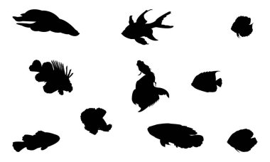 Farklı balık türlerinin siyah siluetleri. İzole edilmiş deniz yaşamı şekilleri koleksiyonu. Profesyonel vektör çizelgesi.