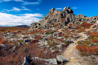 Granit tor adlı parmak dağ