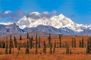 Sonbahar renkleri ve Denali