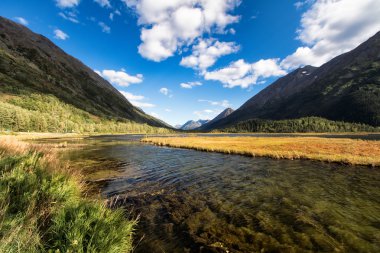 Gölde Kenai Yarımadası