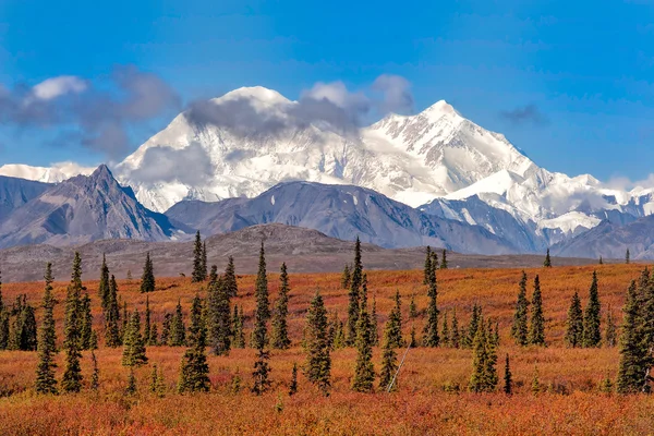 Sonbahar renkleri ve Denali — Stok fotoğraf