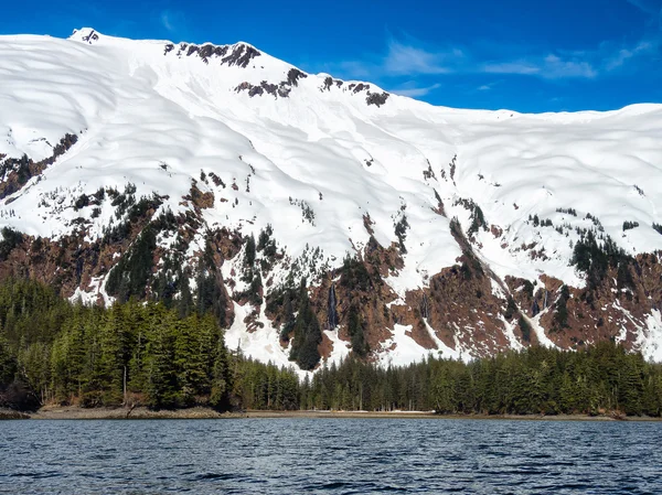 Montagna innevata nel Prince William Sound — Foto Stock