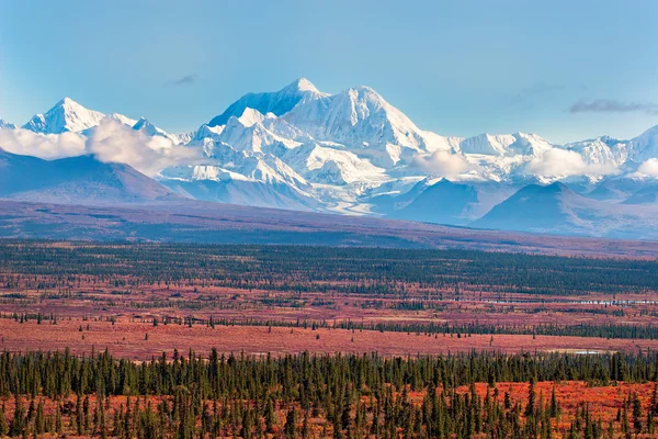 Mt Hayes nella catena dell'Alaska — Foto Stock