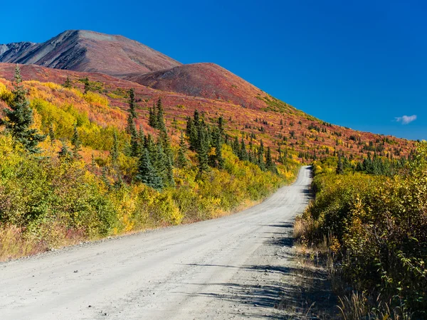 Denali Highway colori autunno — Foto Stock