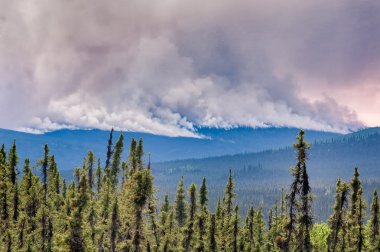 Alaskan forest fire clipart
