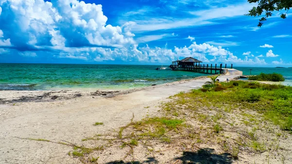 Tropisches Paradies — Stockfoto