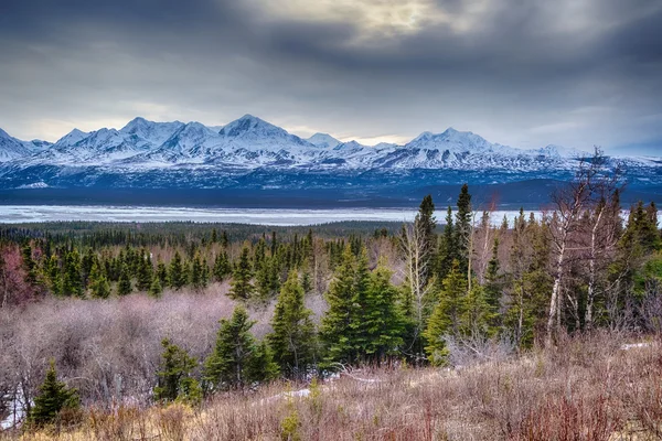 Mount Hayes mögött a Delta-folyó — Stock Fotó