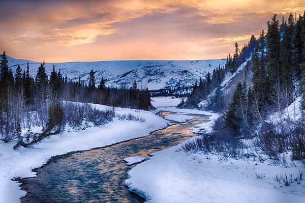 Looking southwest up Phelan Creek — Stock Photo, Image