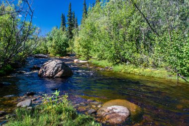 Boulder küçük bir Alaska akışı üzerinde