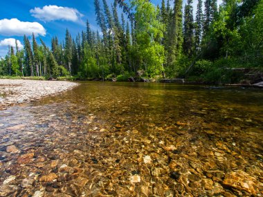 North Fork Chena Nehri