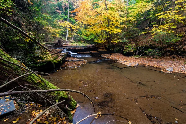 Sixmile potoka poblíž Ithaca, Ny — Stock fotografie