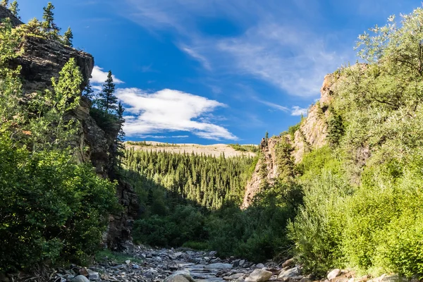 Canyon dans la chaîne de l'Alaska — Photo