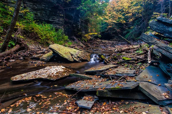 Podzim na malý potok poblíž Ithaca, Ny — Stock fotografie