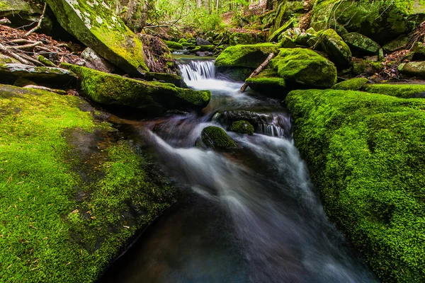 Mohos creek-Catskill — Stock Fotó