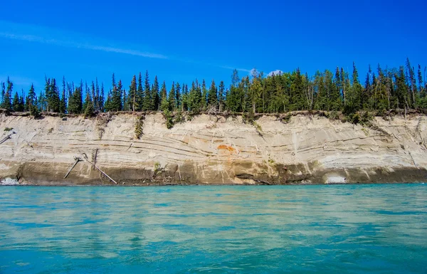 Kenai River — Stock fotografie