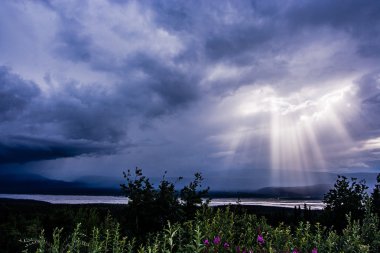 Delta nehir sunburst