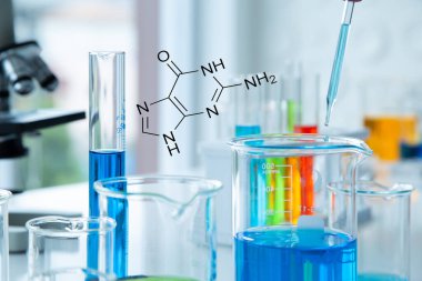 Pipetli bir bilim adamı, kimya laboratuvarında reaksiyon testi için test tüplerindeki DNA ve molekülleri ayırmak için renkli sıvıyı analiz ediyor..