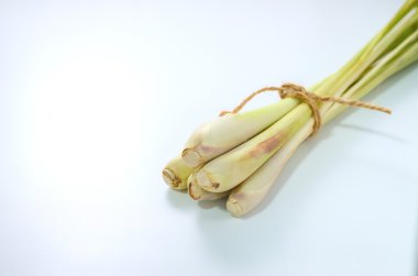 Beyaz arka planda taze limon otu