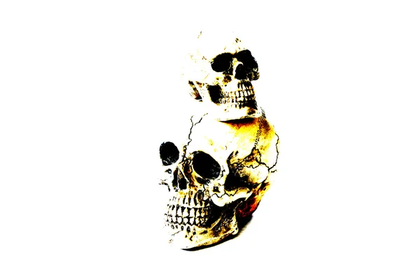 Vintage two skull on white background — Stock Photo, Image