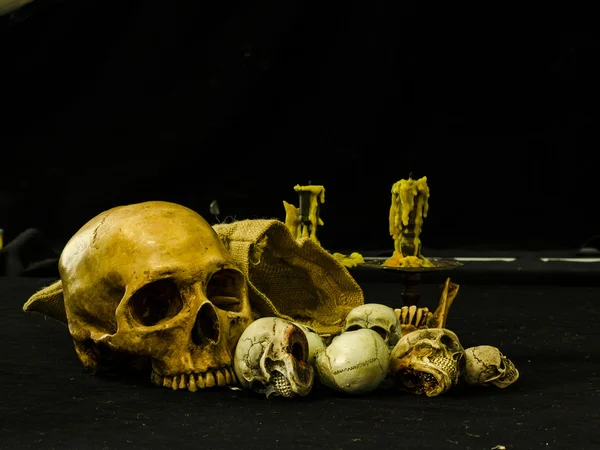 Still life with skull — Stock Photo, Image