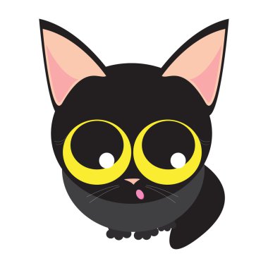 Sevimli siyah küçük yavru kedi.