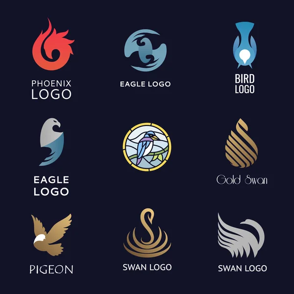 Conjunto de vários símbolos de pássaros e elementos de design de logotipo. Logos para o seu negócio . —  Vetores de Stock