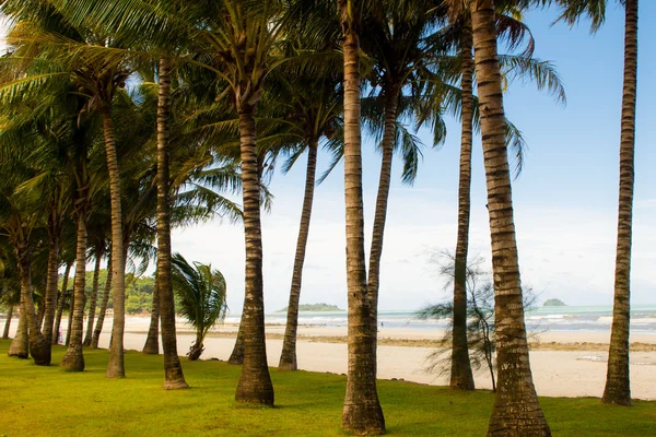 Koh chang Adası Tayland