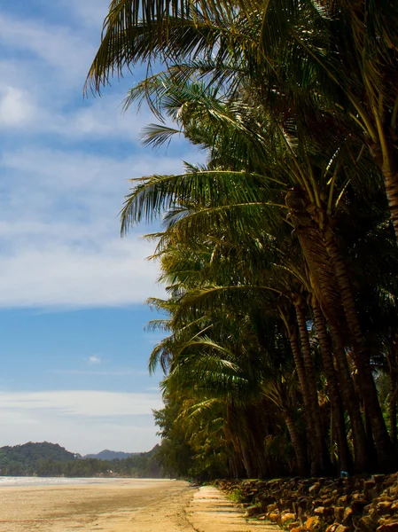 Koh chang Adası Tayland