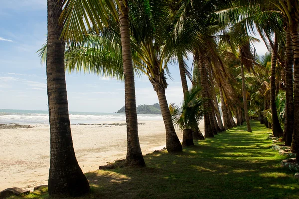 Koh chang Adası Tayland