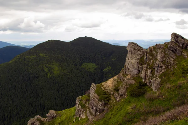 Cárpatos montañas paisaje, Ucrania, junio —  Fotos de Stock