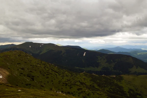 Karpat Dağları manzara, Ukrayna, Haziran