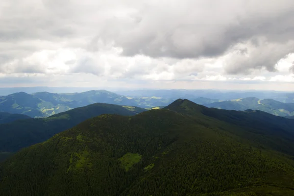 Karpat Dağları manzara, Ukrayna, Haziran