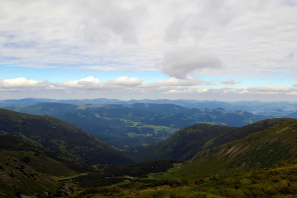 Karpat Dağları manzara, Ukrayna, Haziran
