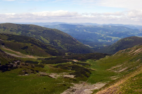 Karpat Dağları manzara, Ukrayna, Haziran