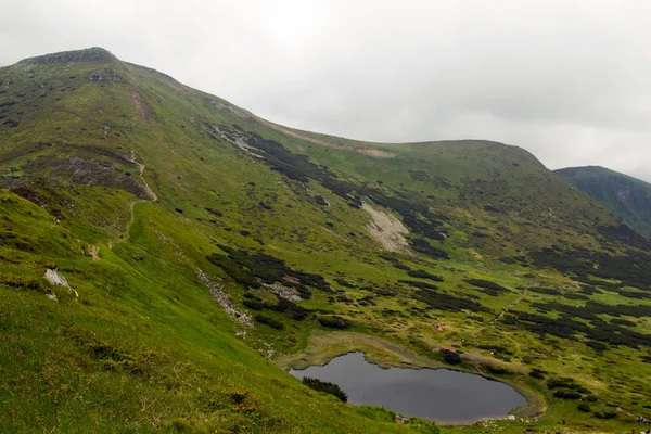 Karpat Dağları manzara, Ukrayna, Haziran