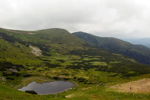 Karpat Dağları manzara, Ukrayna, Haziran