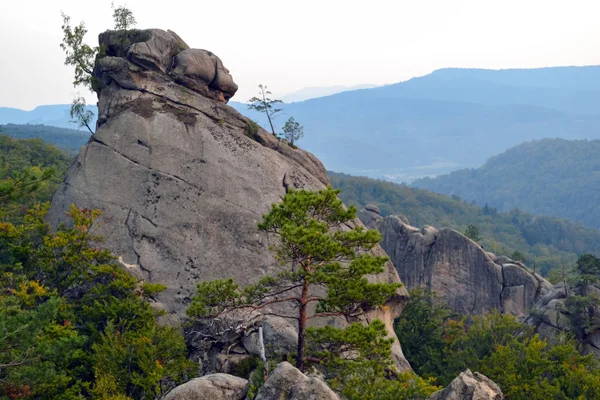 Kayalar, gökten, dağlar bir orman