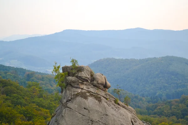 Kayalar, gökten, dağlar bir orman