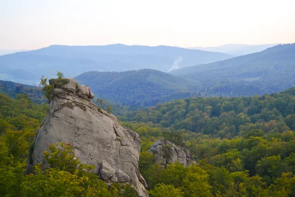 Kayalar, gökten, dağlar bir orman