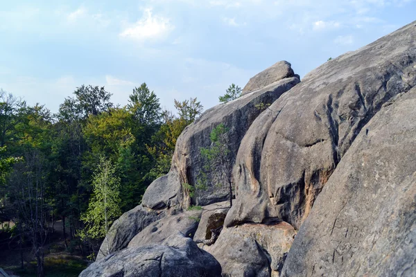 Kayalar, gökten, dağlar bir orman