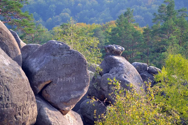 Kayalar, gökten, dağlar bir orman