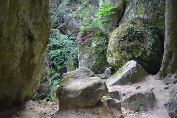 Kayalar, gökten, dağlar bir orman