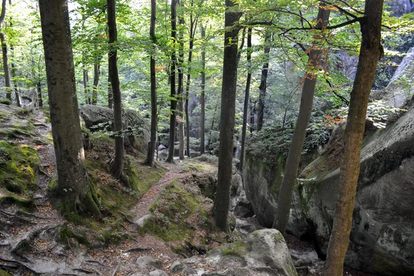 Kayalar, gökten, dağlar bir orman