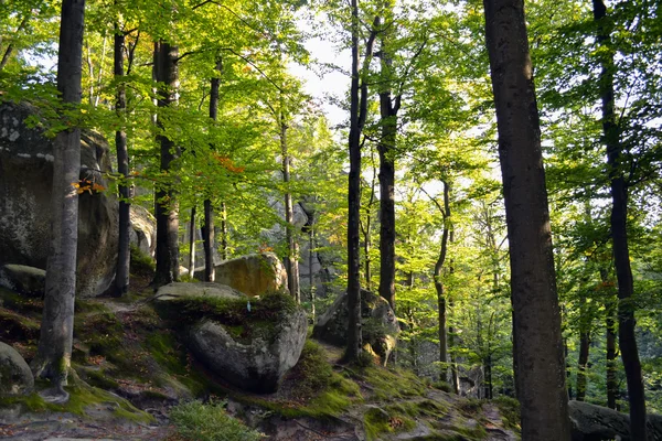 Kayalar, gökten, dağlar bir orman