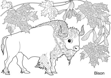 Sanat terapisi için boyama. Hayvanlar ve Avrupa 'nın Doğası. Renkli sayfalarla dolu bir dünya turu ile rahatlatıcı ve eğitici bir yolculuk.